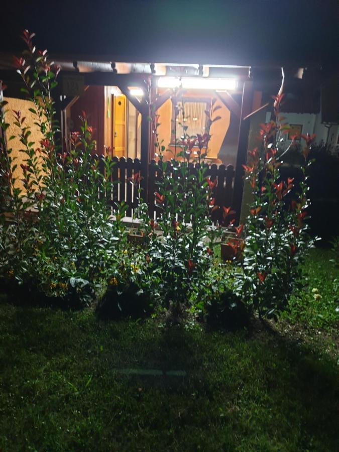 Terme Catez Apartma Nine 카테즈 옵 사비 외부 사진